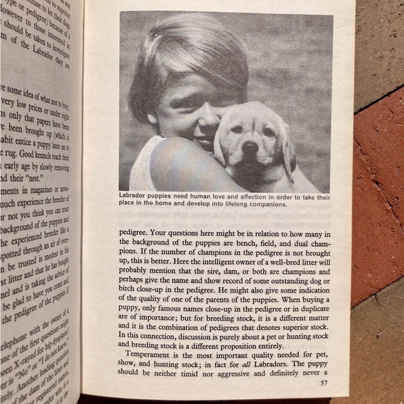 2 Dog Care Female The Labrador Retriever Canine Vintage Black Lab Books Animals - Picture 7 of 14